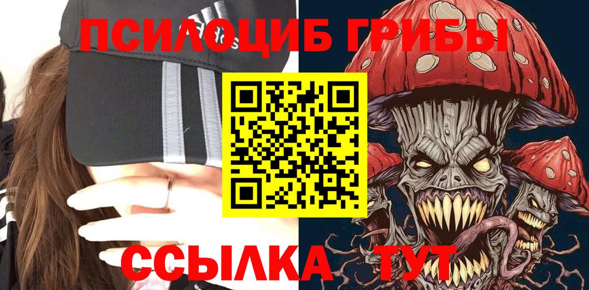Таганрог  Галлюциногенные грибы прущие грибы  Вход с VPN 