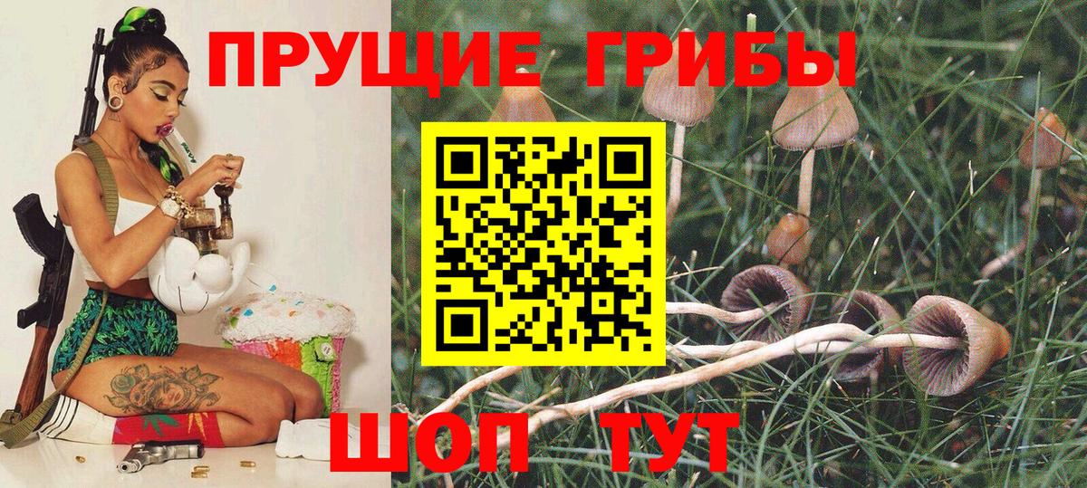 Псилоцибиновые грибы GOLDEN TEACHER Таганрог